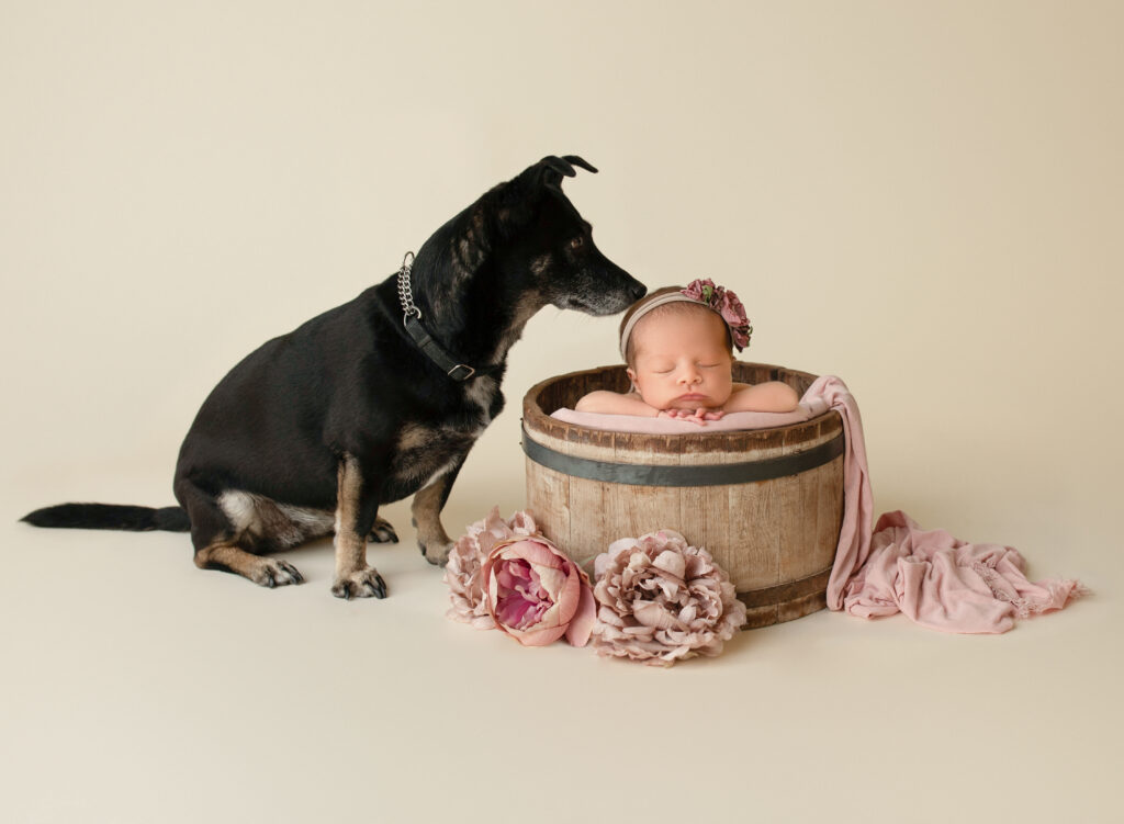 newborn photography with pets
